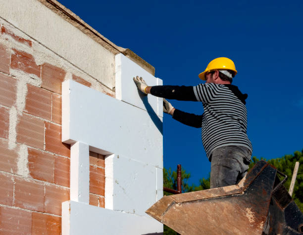 Best Attic Insulation Installation  in Douglas, WY
