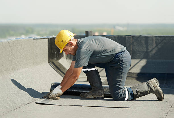 Best Crawl Space Insulation  in Douglas, WY